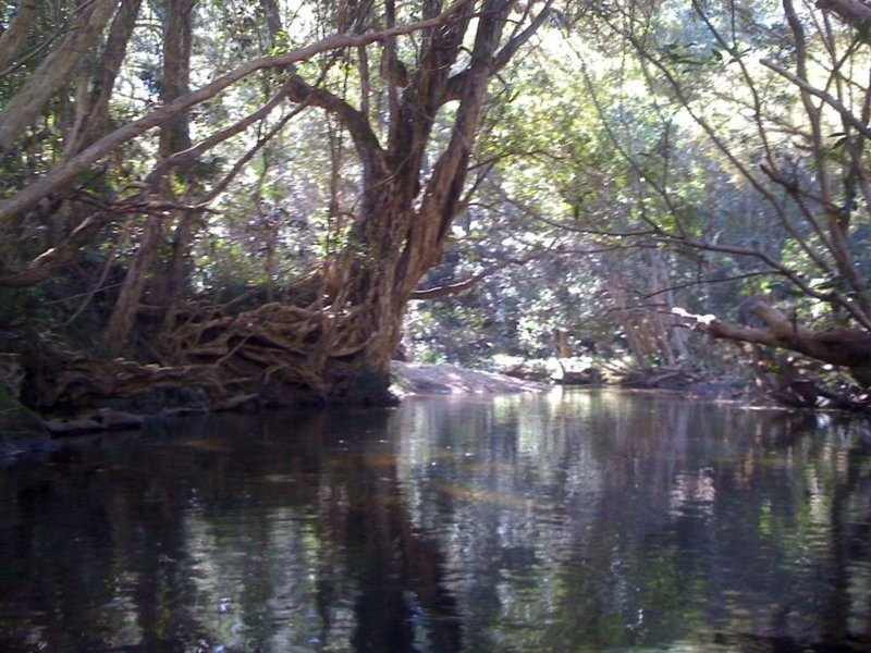 Doyles River NSW 2446