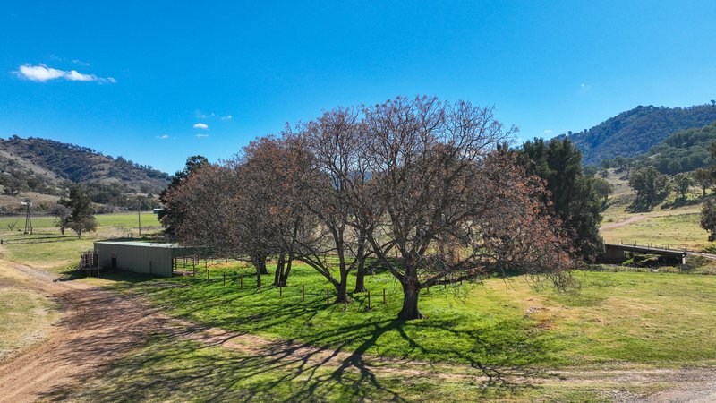 Photo - 'Drumalbyn' 2039 Ogunbil Road, Tamworth NSW 2340 - Image 5