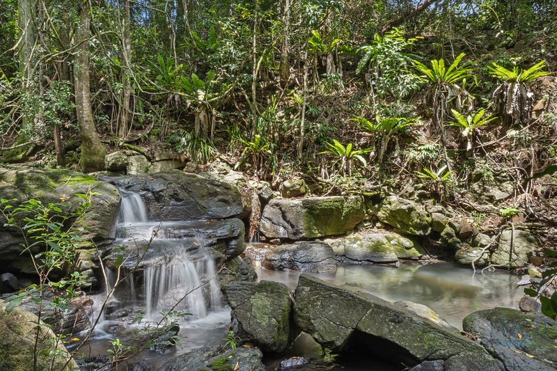 Photo - Dulong QLD 4560 - Image 9