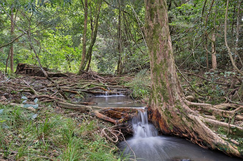 Photo - Dulong QLD 4560 - Image 10