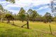 Photo - Dungog NSW 2420 - Image 12