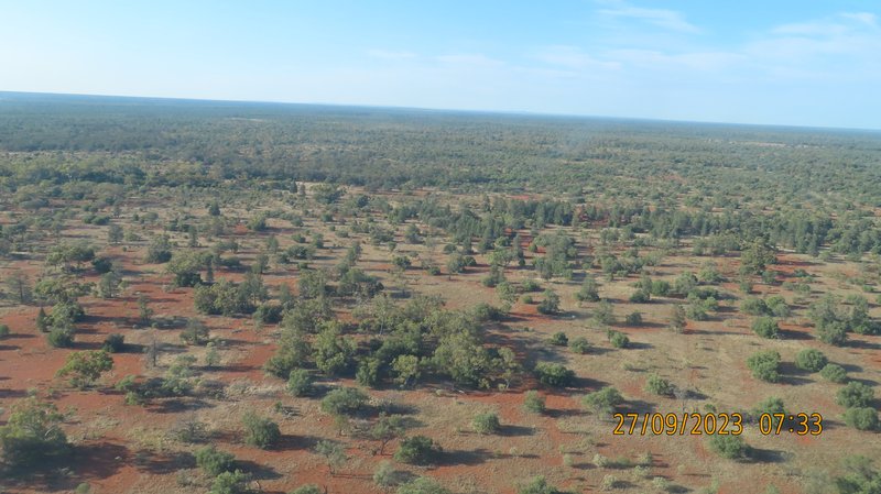 Photo - * East Cubba , Cobar NSW 2835 - Image 10