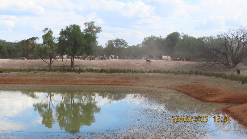 Photo - * East Cubba , Cobar NSW 2835 - Image 14