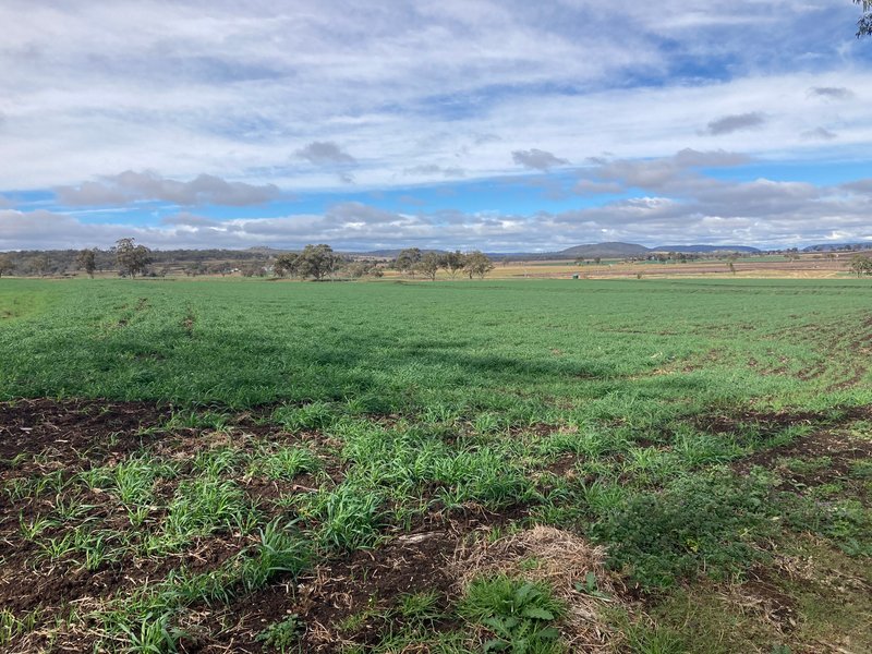 Photo - "East Lynne" Upper Spring Creek Road, Spring Creek QLD 4361 - Image 20