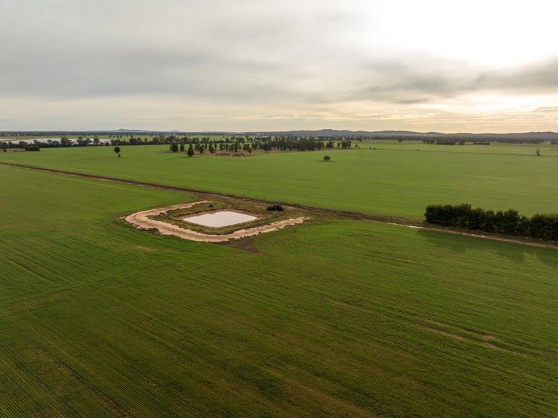 Photo - 'Eastleigh' 850 Newell Highway, West Wyalong NSW 2671 - Image 7