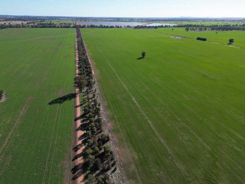 Photo - 'Eastleigh' 850 Newell Highway, West Wyalong NSW 2671 - Image 15