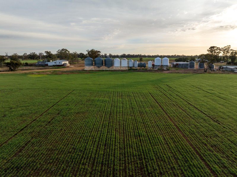 Photo - 'Eastleigh' 850 Newell Highway, West Wyalong NSW 2671 - Image 16