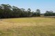 Photo - Elimbah QLD 4516 - Image 4