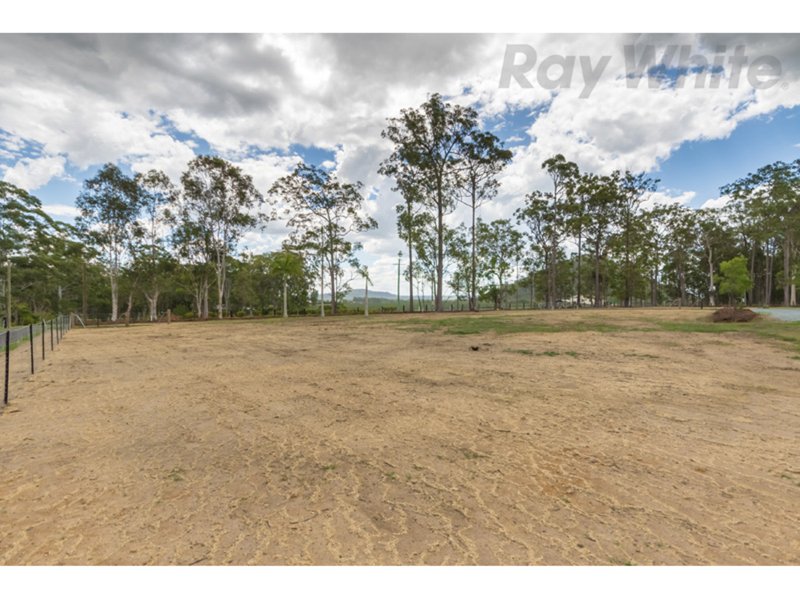 Photo - Elimbah QLD 4516 - Image 2