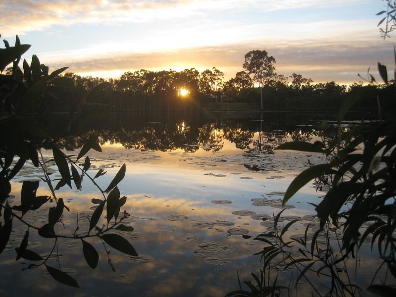 Photo - Elliott QLD 4670 - Image 8