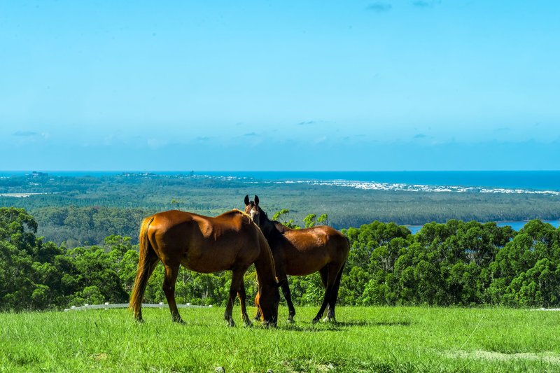 Photo - Emerald Mountain View, Tanglewood NSW 2488 - Image 2