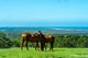 Photo - Emerald Mountain View, Tanglewood NSW 2488 - Image 2