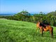 Photo - Emerald Mountain View, Tanglewood NSW 2488 - Image 25