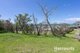 Photo - Emma Street, Bridport TAS 7262 - Image 9