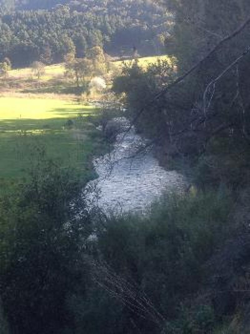 Photo - Eskdale VIC 3701 - Image 2