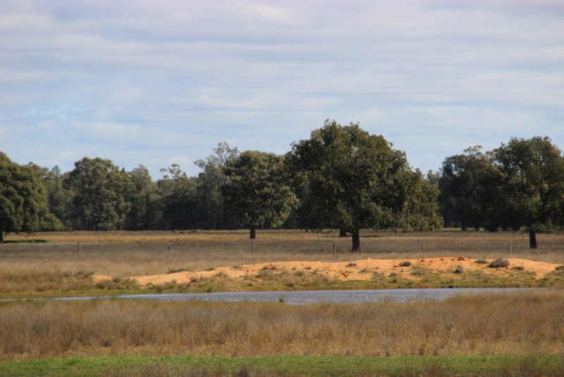 Photo - " Euligal" , Baradine NSW 2396 - Image 4