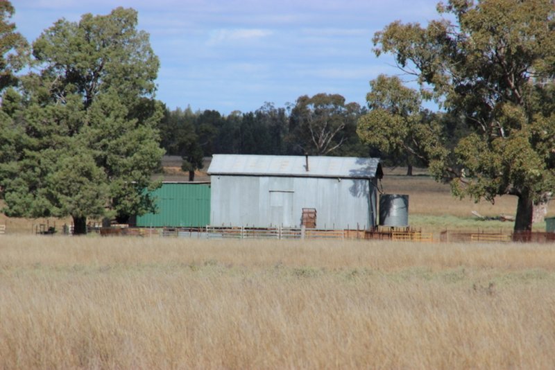 Photo - " Euligal" , Baradine NSW 2396 - Image 13