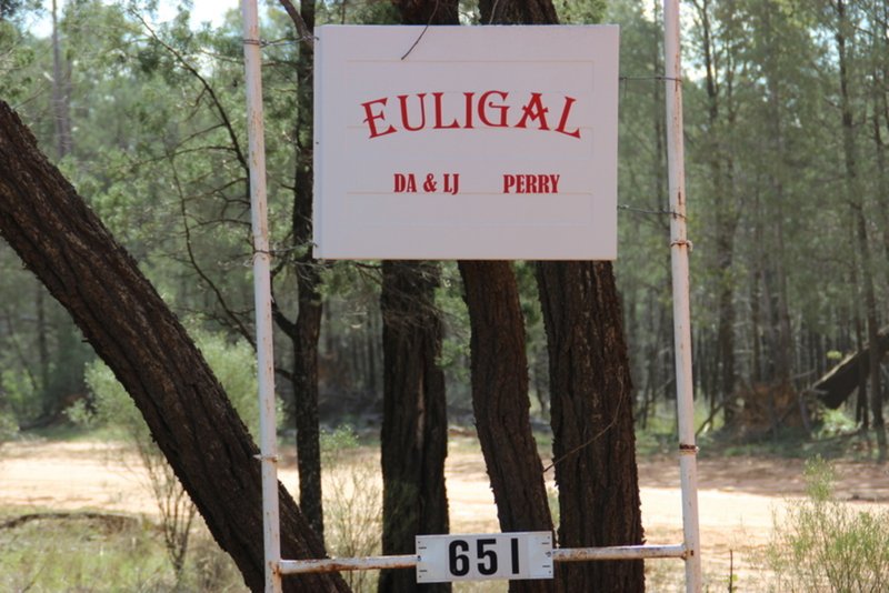 Photo - " Euligal" , Baradine NSW 2396 - Image 17