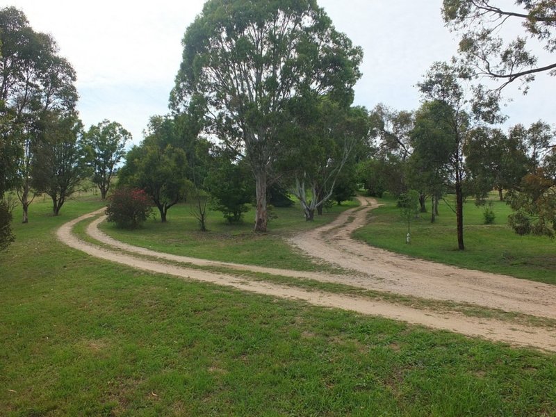 Photo - Evans Plains NSW 2795 - Image 12