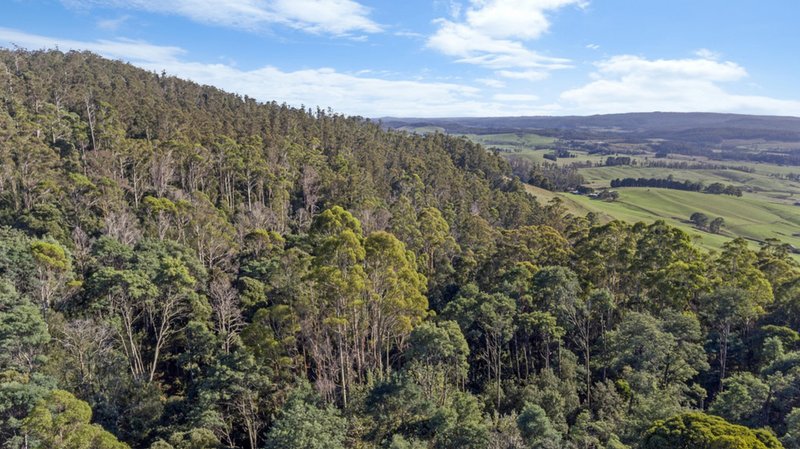 Photo - Evans Road , Karoola TAS 7267 - Image 4