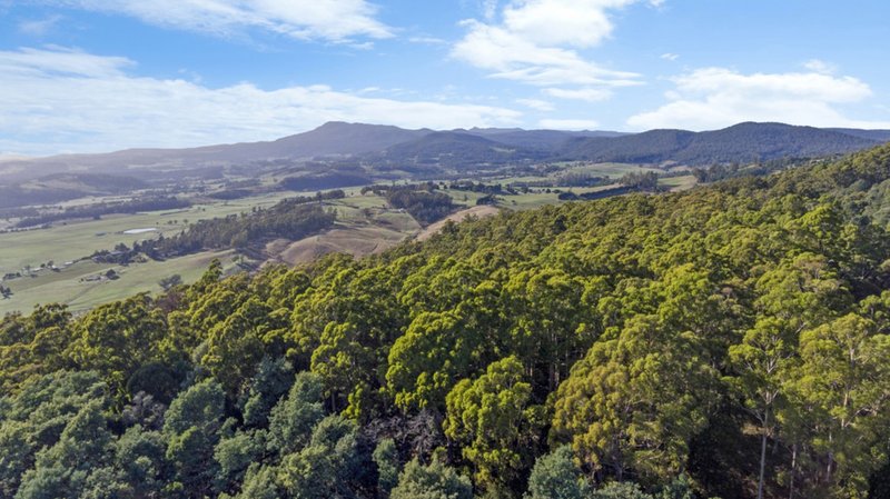 Photo - Evans Road , Karoola TAS 7267 - Image 8