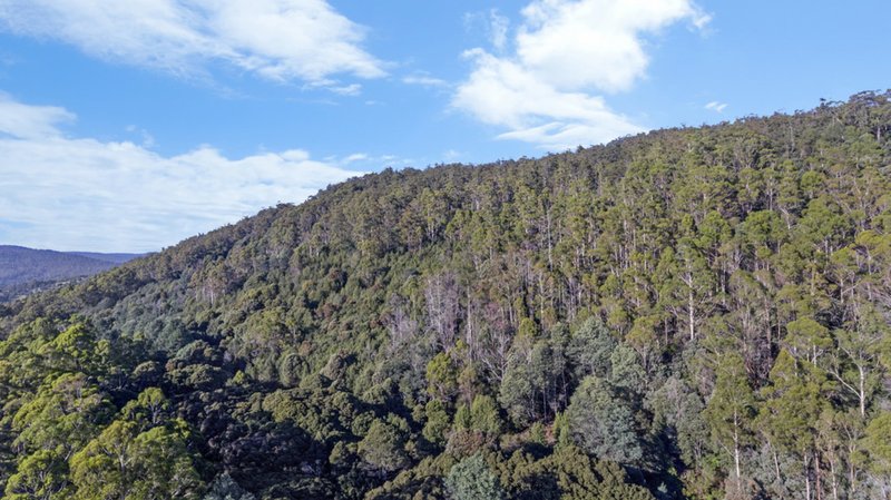 Photo - Evans Road , Karoola TAS 7267 - Image 10