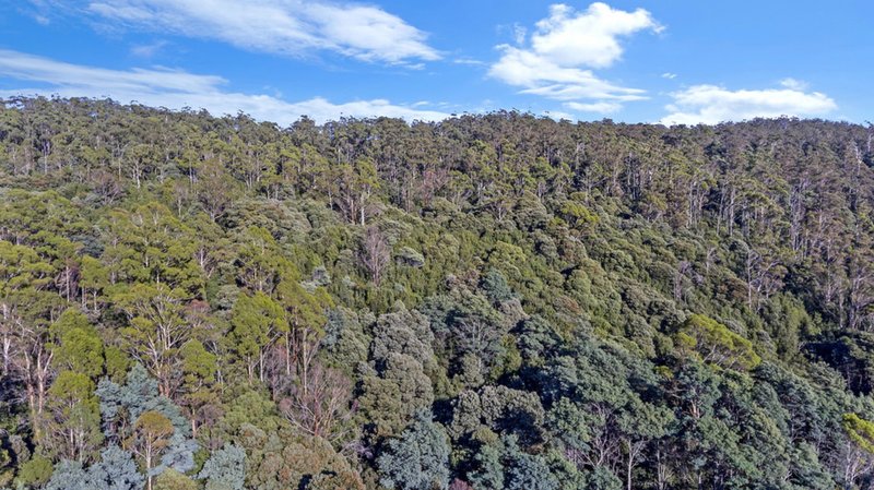 Photo - Evans Road , Karoola TAS 7267 - Image 11