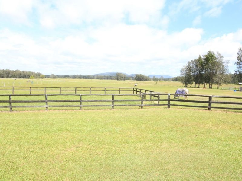 Photo - Failford NSW 2430 - Image 10