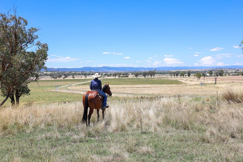 'Fairview' 404 Oxley Lane, Tamworth NSW 2340