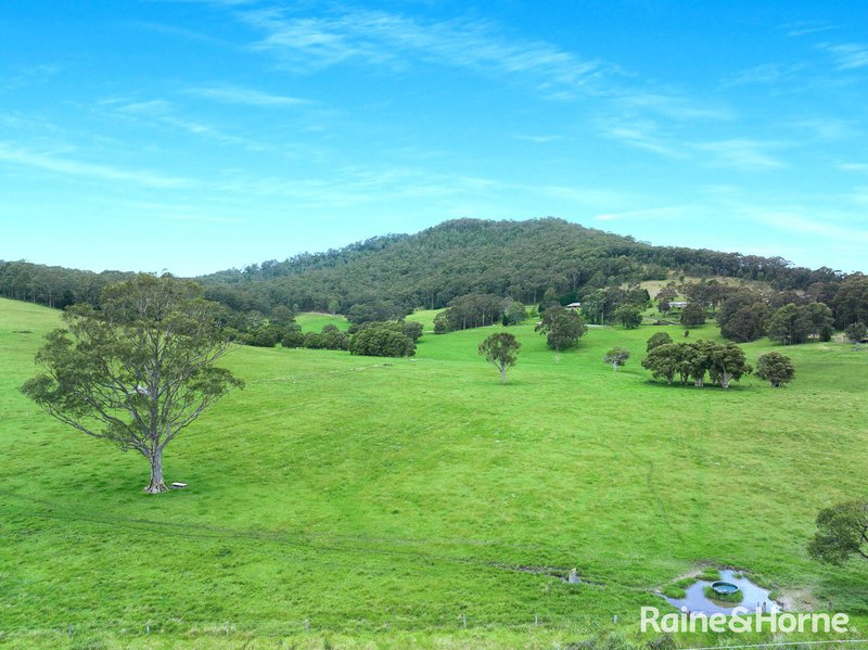 Photo - Far Meadow NSW 2535 - Image 4