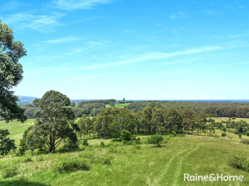 Photo - Far Meadow NSW 2535 - Image 5