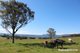 Photo - Far Meadow NSW 2535 - Image 8