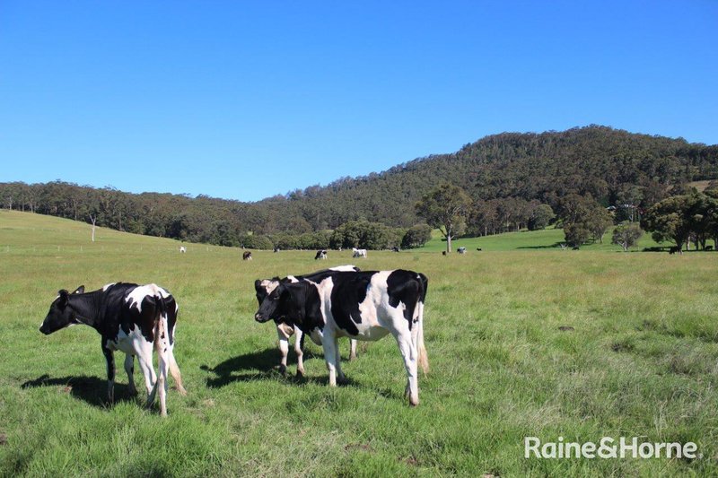 Photo - Far Meadow NSW 2535 - Image 9