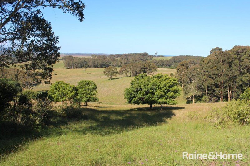 Photo - Far Meadow NSW 2535 - Image 16