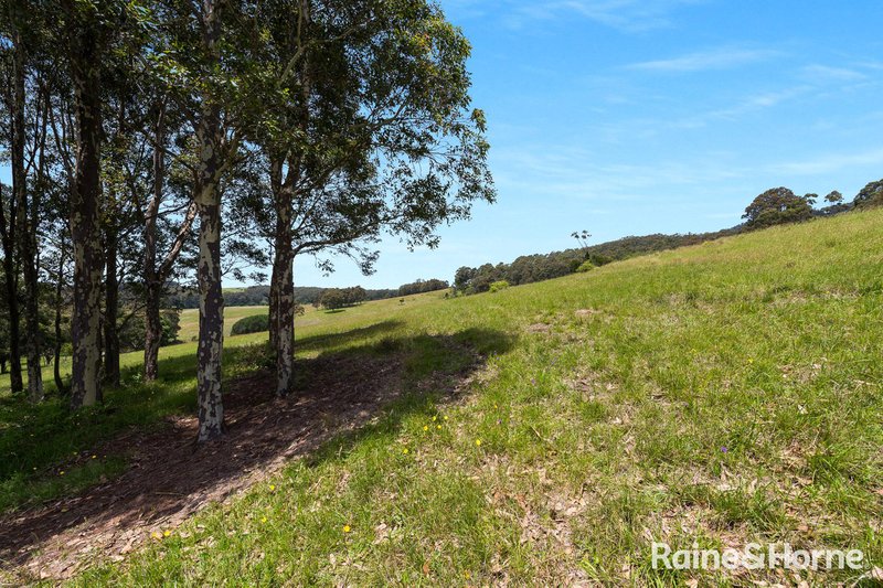 Photo - Far Meadow NSW 2535 - Image 24