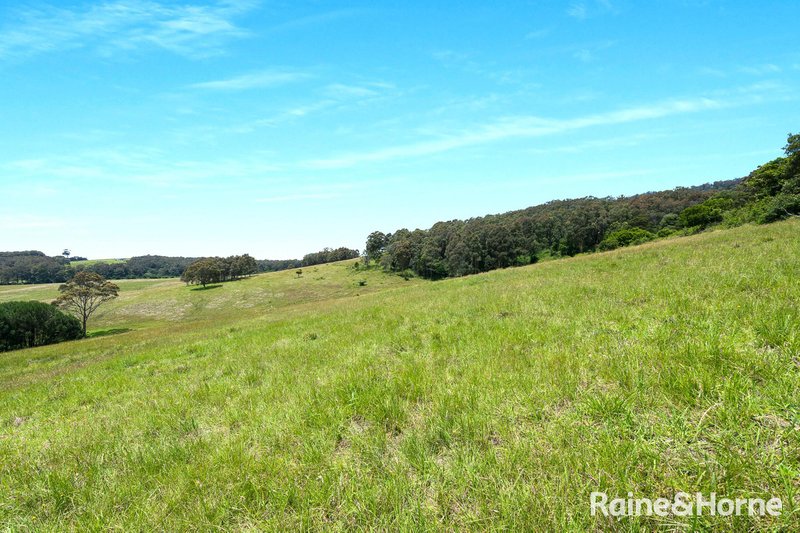 Photo - Far Meadow NSW 2535 - Image 25