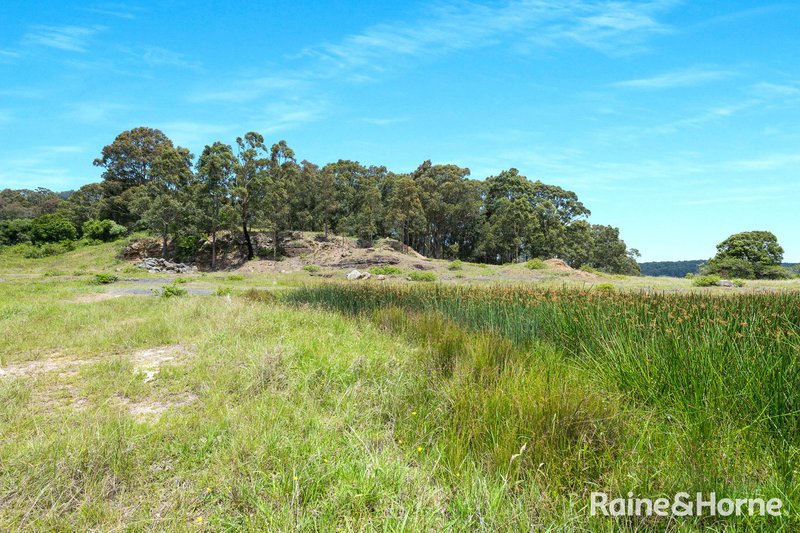 Photo - Far Meadow NSW 2535 - Image 26