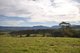 Photo - Far Meadow NSW 2535 - Image 28