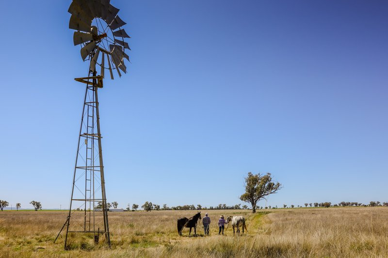 'Farlands' 585 Heiligmans Lane, Tamworth NSW 2340