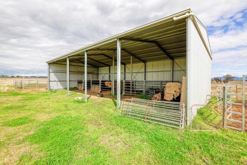 Photo - 'Farlands' 585 Heiligmans Lane, Tamworth NSW 2340 - Image 12