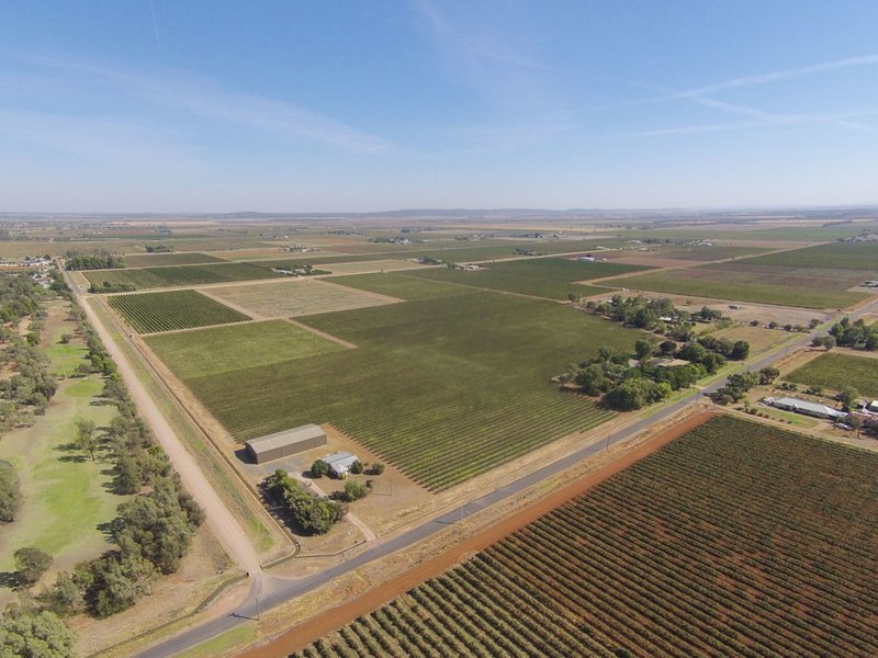 Photo - Farm 1318 , Yenda NSW 2681 - Image 7