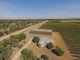 Photo - Farm 1318 , Yenda NSW 2681 - Image 10