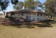 Photo - Farm 1368 Gribble Road, Yenda NSW 2681 - Image 5