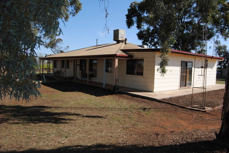 Photo - Farm 1368 Gribble Road, Yenda NSW 2681 - Image 6