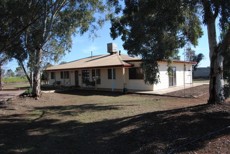 Photo - Farm 1368 Gribble Road, Yenda NSW 2681 - Image 8