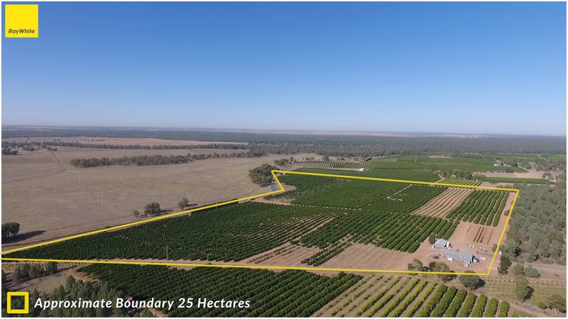 Farm 1572 42 Stannard Road, Cudgel NSW 2700