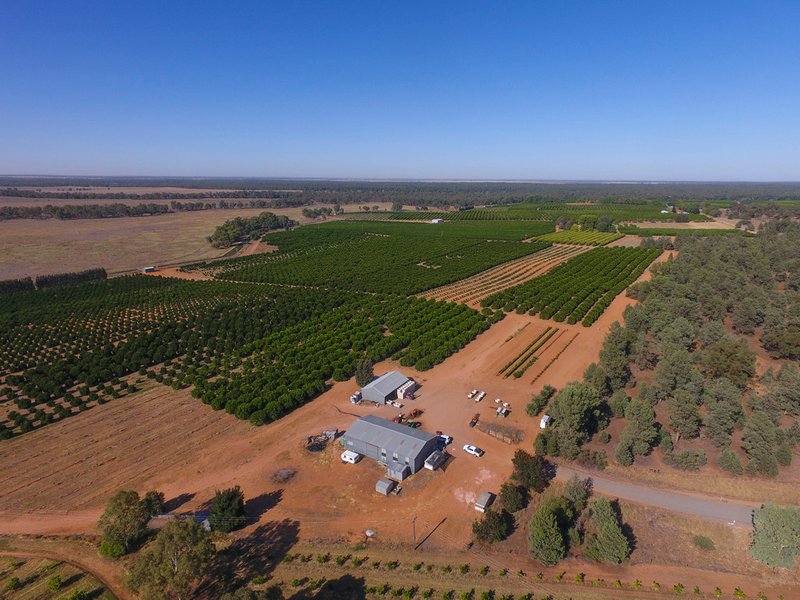 Photo - Farm 1572 42 Stannard Road, Cudgel NSW 2700 - Image 2