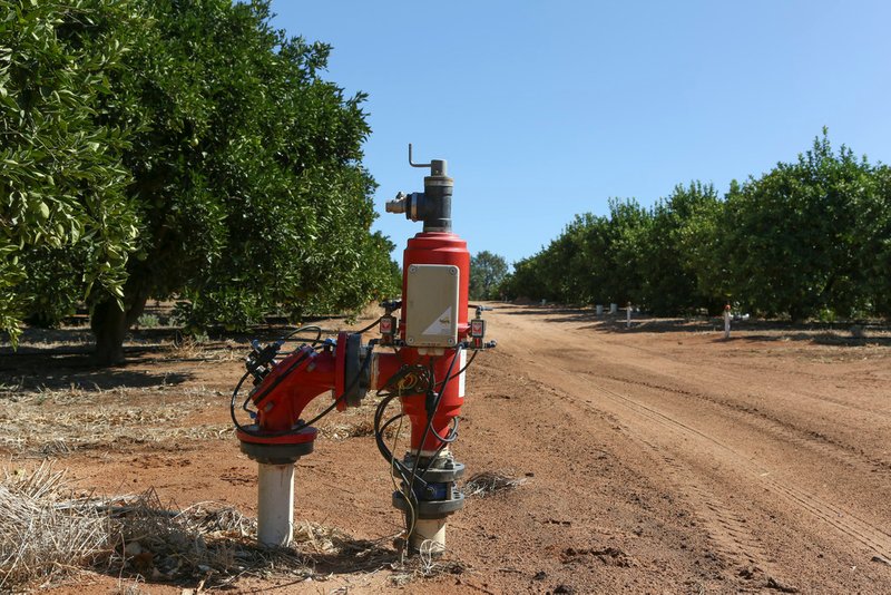 Photo - Farm 1572 42 Stannard Road, Cudgel NSW 2700 - Image 9