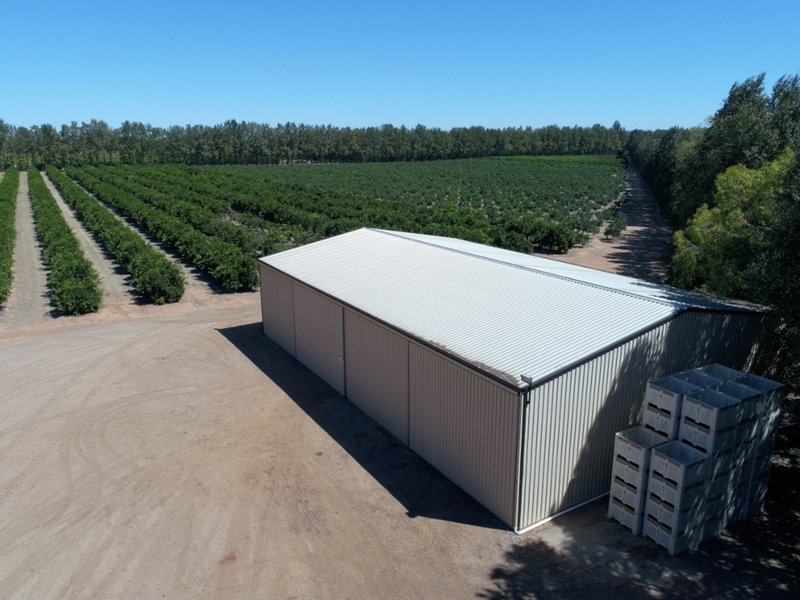 Photo - Farm 2026 Chant Road, Wamoon NSW 2705 - Image 15