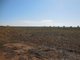 Photo - Farm 263 Bilbul Road, Beelbangera NSW 2680 - Image 10